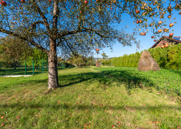 NA PREDAJ | rodinný dom pri Váhu | pozemok 951 m2 | Púchov - Horné Kočkovce - Továrenská